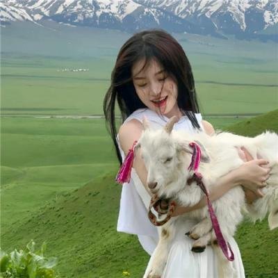 马姆洛克教授